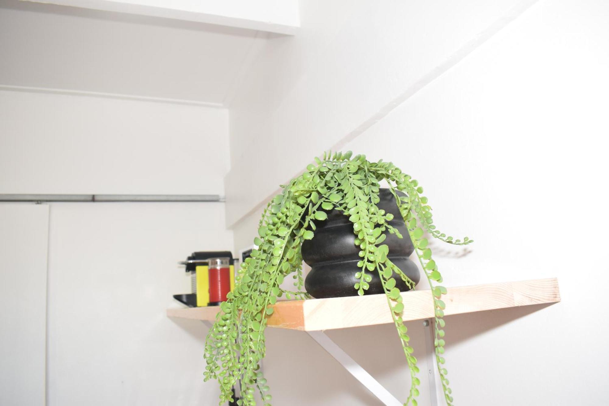 House On Pringle Accommodatie bij particulieren